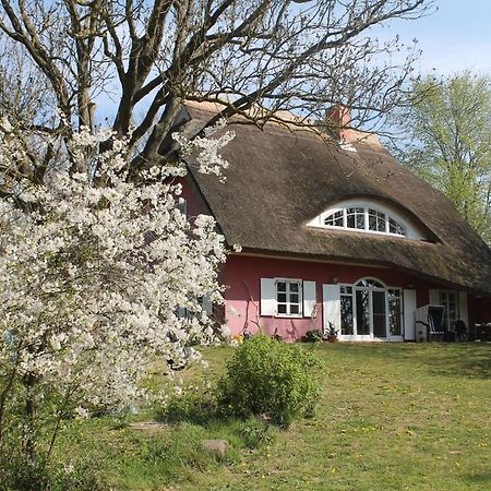 Altes Waschhaus Krakvitz Appartement Putbus Buitenkant foto
