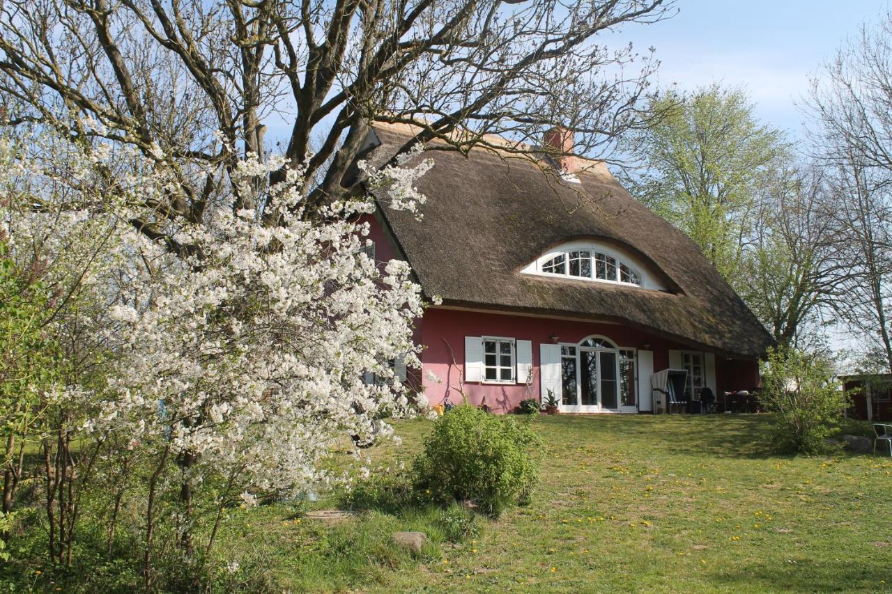 Altes Waschhaus Krakvitz Appartement Putbus Buitenkant foto