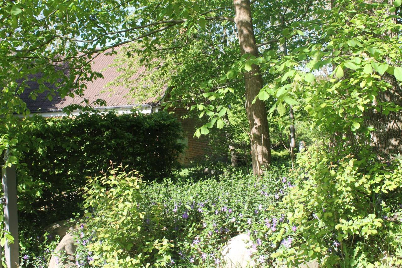 Altes Waschhaus Krakvitz Appartement Putbus Buitenkant foto
